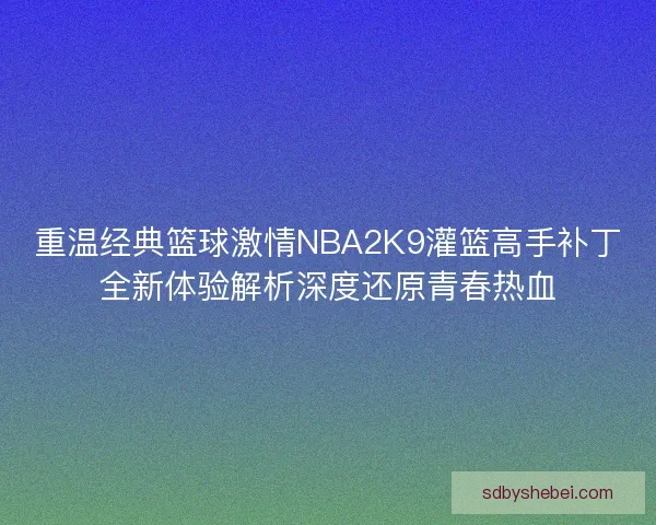 重温经典篮球激情NBA2K9灌篮高手补丁全新体验解析深度还原青春热血