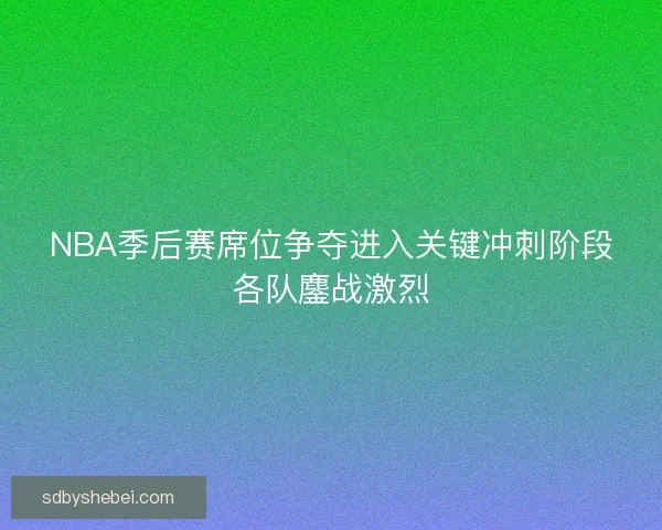 NBA季后赛席位争夺进入关键冲刺阶段各队鏖战激烈